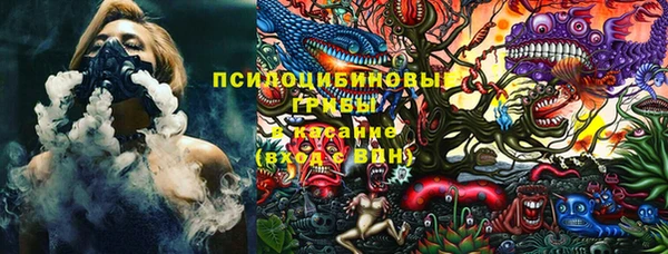 дживик Алексин