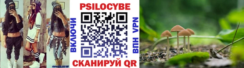 Купить закладки  Никольское  Псилоцибиновые грибы Psilocybe 
